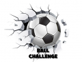 Gioco Ball Challenge