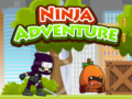 Gioco Ninja Adventure