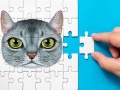 Gioco Abyssinian Puzzle Challenge