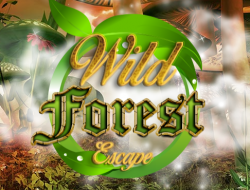 Gioco Fuga nella foresta selvaggia 