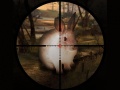 Gioco Classical Rabbit Sniper Hunting 2019
