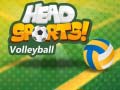 Gioco Head Sports Volleyball