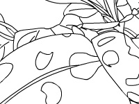 Gioco Garden beetle