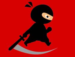 Gioco Mr. Ninja Fighter 