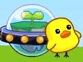 Gioco Chicken Home