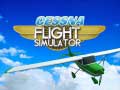 Gioco Cessna Flight Simulator
