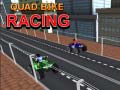 Gioco Quad Bike Racing