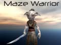 Gioco Maze Warrior