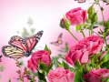 Gioco Butterflies Puzzle