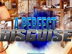 Gioco Un travestimento perfetto 