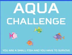 Gioco Aqua Challenge