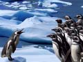 Gioco Penguins Slide