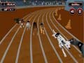 Gioco Crazyl Dog Racing Fever
