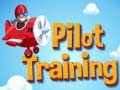 Gioco Pilot Training