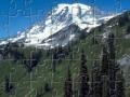 Gioco Mount Rainier National Park