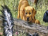 Gioco Hungry friends