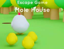 Gioco Gioco di fuga Mole House 