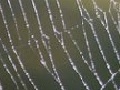 Gioco Spider 3
