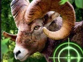 Gioco Crazy Goat Hunter 2020