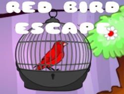 Gioco Fuga dell'uccello rosso 