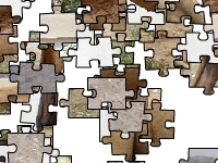 Gioco Dromedary camel