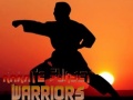 Gioco Karate Sunset Warriors