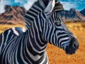 Gioco Zebra Hunter
