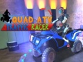 Gioco Quad ATV Traffic Racer