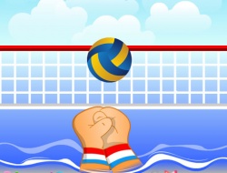 Gioco Pallavolo 