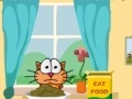 Gioco Cat around the world