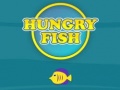 Gioco Hungry Fish