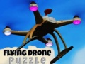 Gioco Flying Drone Puzzle