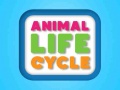 Gioco Animal Life Cycle