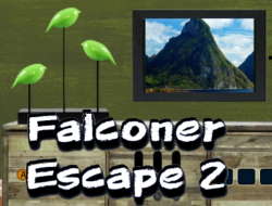 Gioco Falconer Escape 2