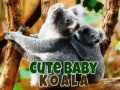 Gioco Cute Baby Koala Bear