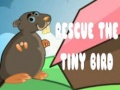 Gioco Rescue The Tiny Bird