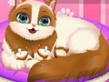 Gioco Cute Kitty Pregnant