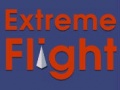 Gioco Extreme Flight