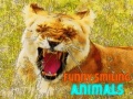 Gioco Funny Smiling Animals