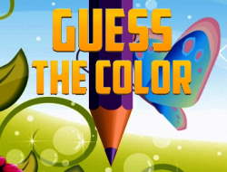 Gioco Indovina il colore 