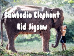 Gioco Puzzle del capretto dell'elefante della Cambogia 