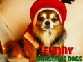 Gioco Funny Christmas Dogs