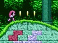 Gioco Mighty & Ray In Sonic 2