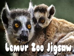 Gioco Puzzle dello zoo dei lemuri 