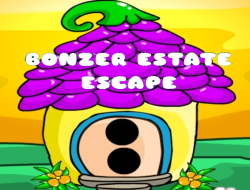 Gioco Bonzer Estate Fuga 