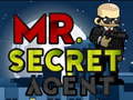Gioco Mr Secret Agent