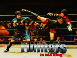 Gioco Combattenti sul ring 