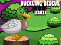 Gioco Duckling Rescue Series1