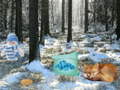 Gioco Winter Wonderland Forest Adventure