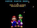 Gioco Super Mario Bros: A Multiplayer Adventure